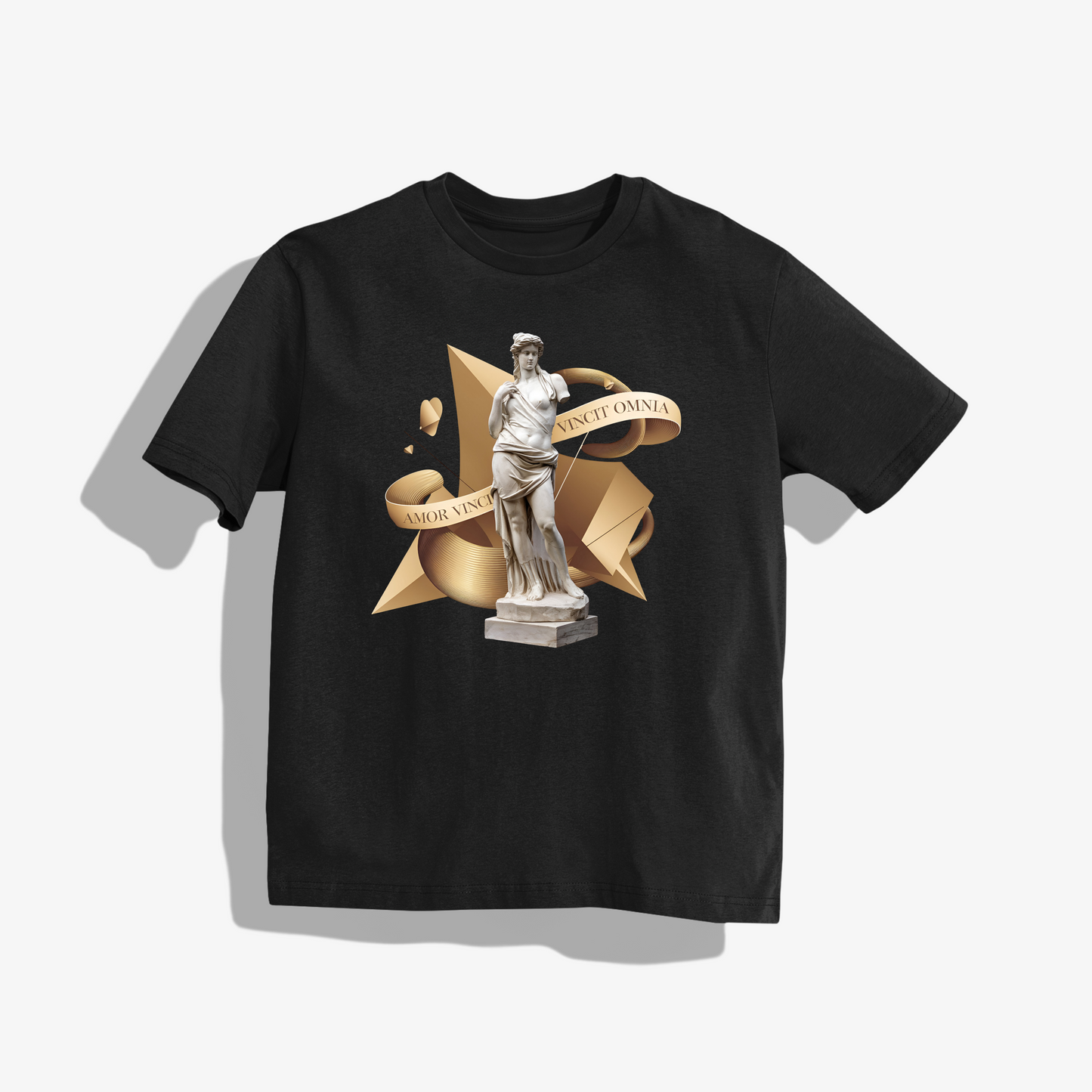 rasb amor vinci- T-Shirt - Round Neck Drop Shoulder Graphic Printed Oversized Cotton T-shirt (Copy)
