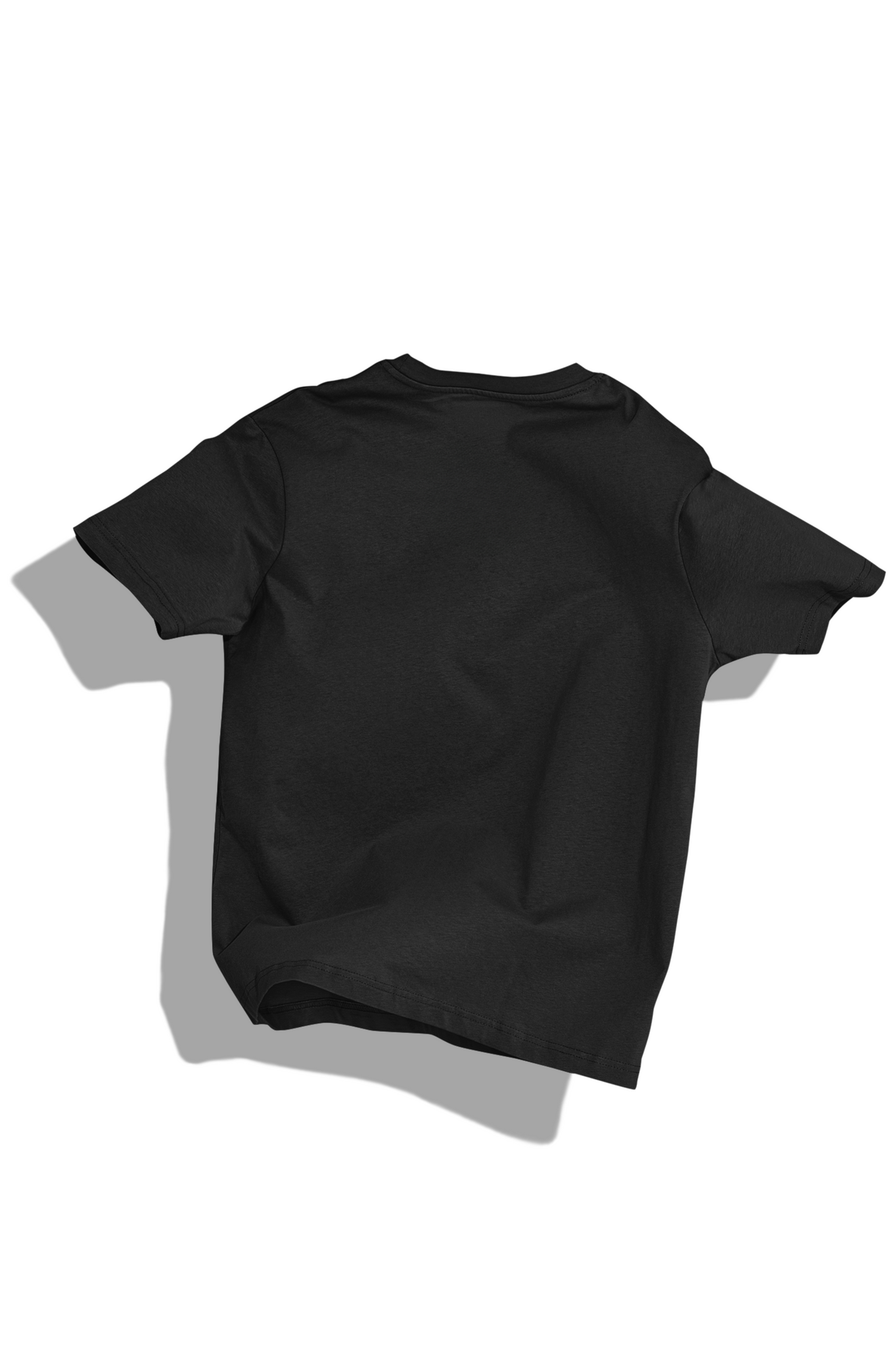 RASB’s "Naatil Evdeya" Astronaut T-Shirt - MALAYALEE Round Neck Drop Shoulder Graphic Printed Oversized Cotton T-shirt